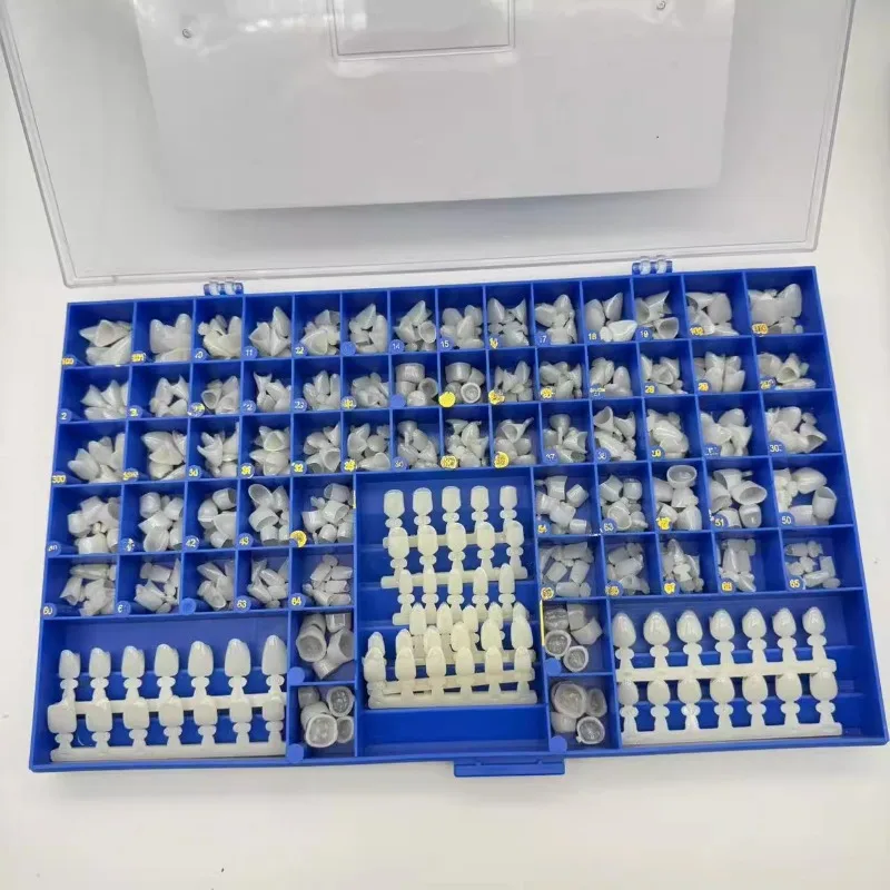 Molares dentales premolares, c - Teeth Whitening Moulds reseña y precio