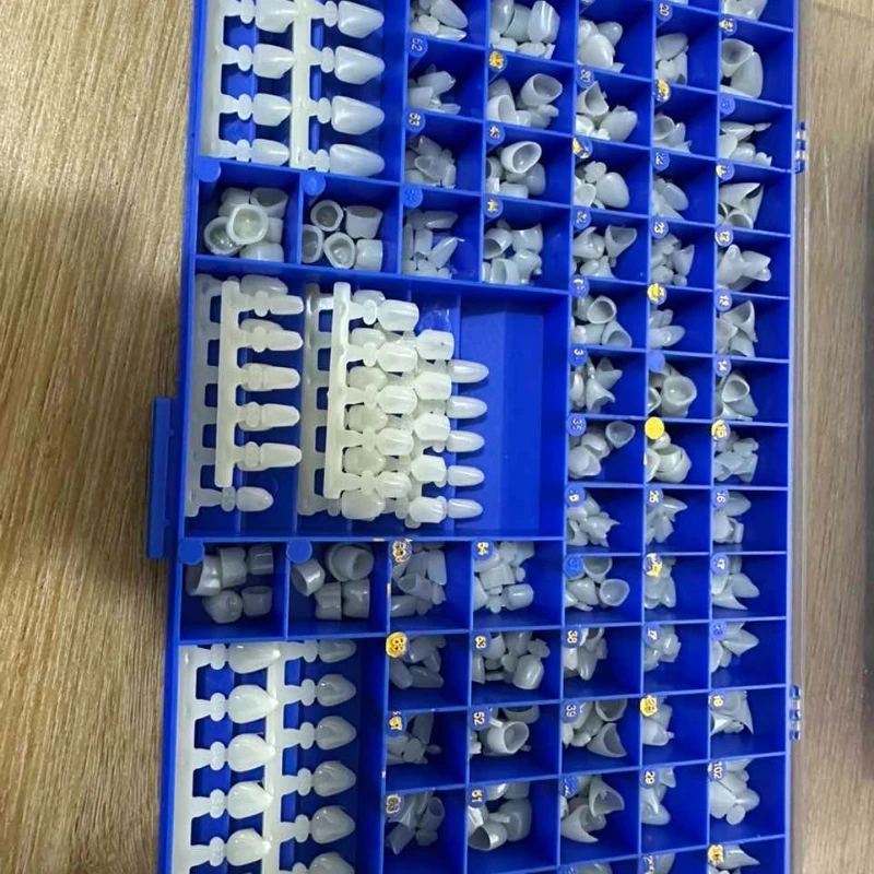 Molares dentales premolares, c - Teeth Whitening Moulds reseña y precio