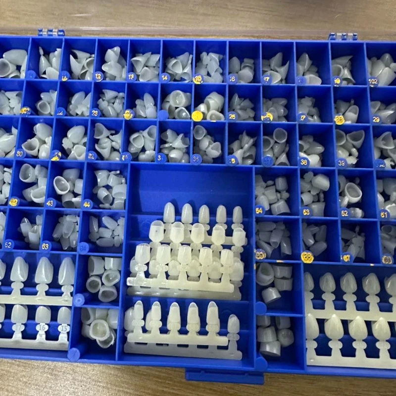 Molares dentales premolares, c - Teeth Whitening Moulds reseña y precio