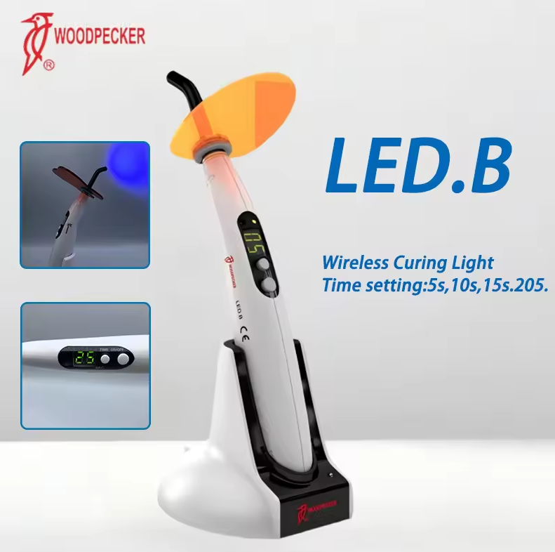 Luz de curado Dental pájaro ca - Teeth Whitening With Light reseña y precio