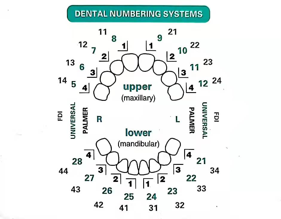 32 unids/set Kit de molde de c - Teeth Whitening Moulds reseña y precio